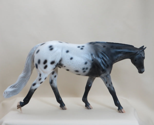 SHRIGLEY - OOAK Appaloosa Western Pleasure Horse - 3/15