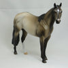 FTASB (FASTER THAN A SPEEDING BULLET) - OOAK Dun Stock Horse 2/15