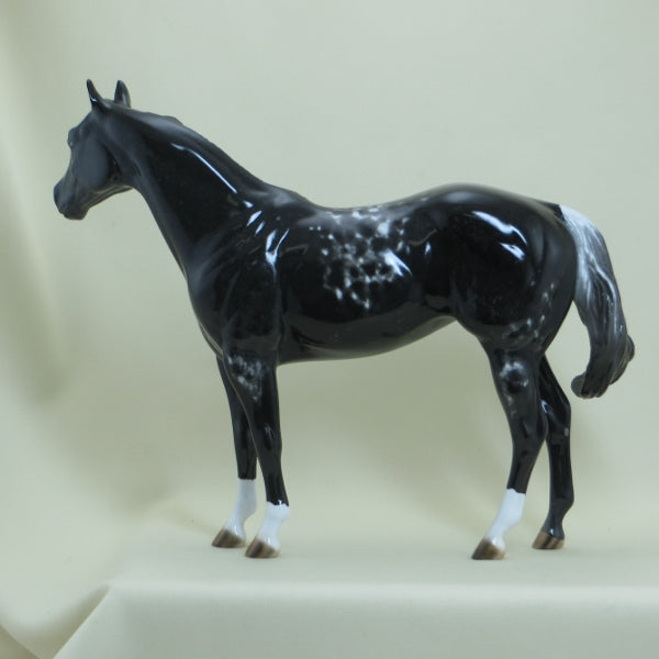 NIGHTSHADE CRUNCH - OOAK Appaloosa Stock Model Horse - 4/15