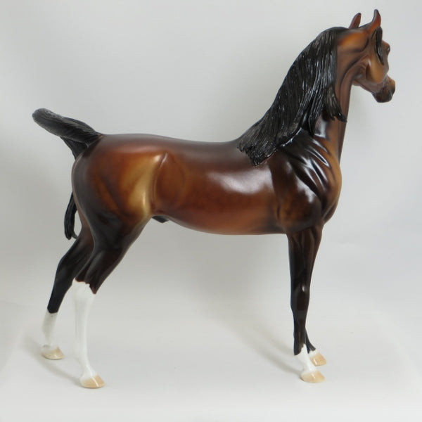 THE PERFECT FAN - OOAK Dapple Bay Arabian w/ Lots of Mane 5/15