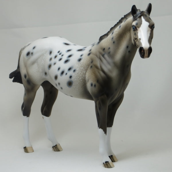 GOT SPOTS - Ratty Mane Appaloosa with Variation of Face Marking LE10 2/15