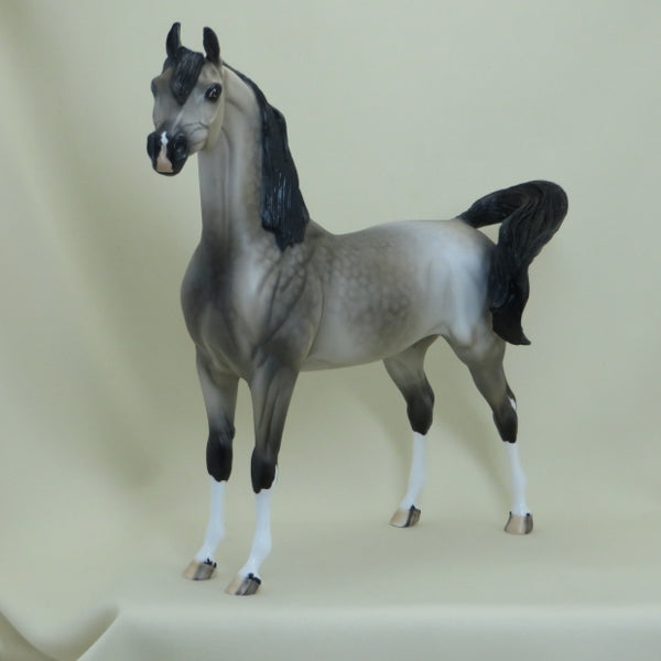 OPTIVA - OOAK Dapple Silver Buckskin Arabian 4/15