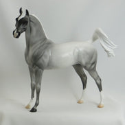 AMOS MOSES - Blue Roan Arabian LE3 5/15