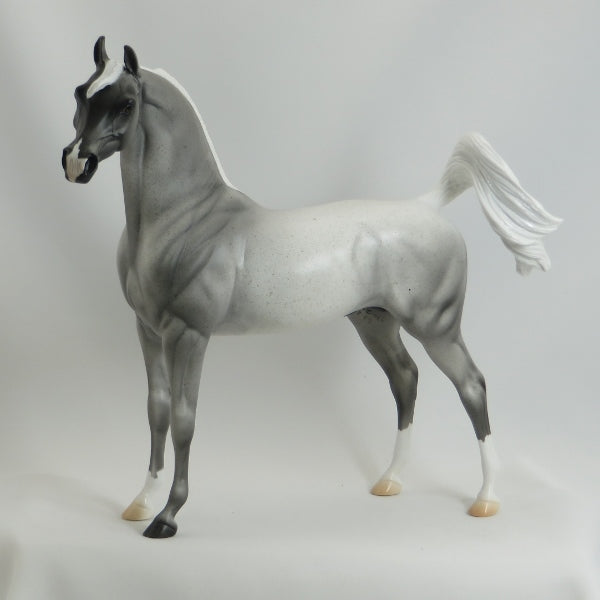 AMOS MOSES - Blue Roan Arabian LE3 5/15