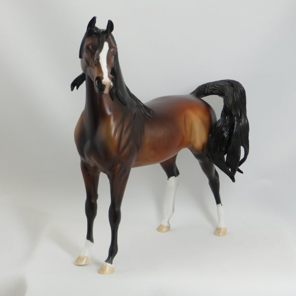 THE PERFECT FAN - OOAK Dapple Bay Arabian w/ Lots of Mane 5/15