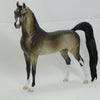 ZACHARY TAYLOR - OOAK Dapple Buckskin Arabian 2/15