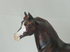 CF (COFFEE FREAK) - OOAK Dapple Dark Liver Chestnut Pinto Morgan 2/150