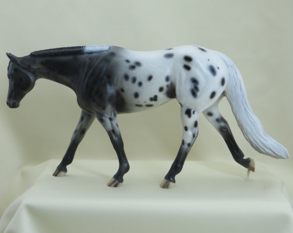 SHRIGLEY - OOAK Appaloosa Western Pleasure Horse - 3/15