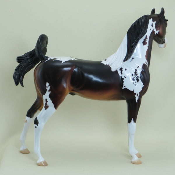 MAVERICK - OOAK Seal Bay Pinto Arabian Horse - 4/15