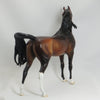 THE PERFECT FAN - OOAK Dapple Bay Arabian w/ Lots of Mane 5/15
