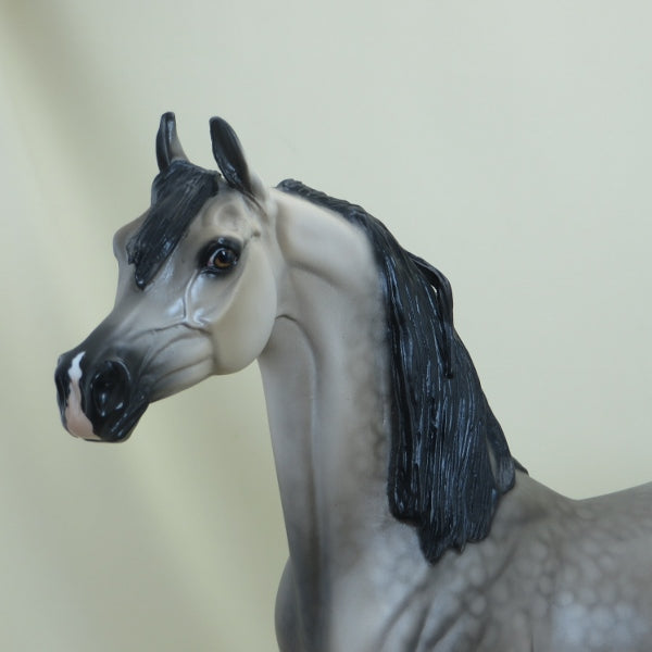 OPTIVA - OOAK Dapple Silver Buckskin Arabian 4/15