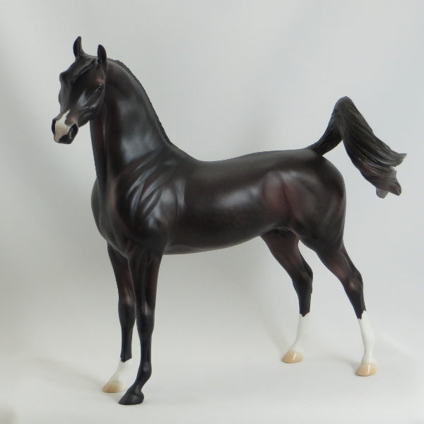 MEADOWBROOK - Dapple Dark Brown Arabian LE3 5/15