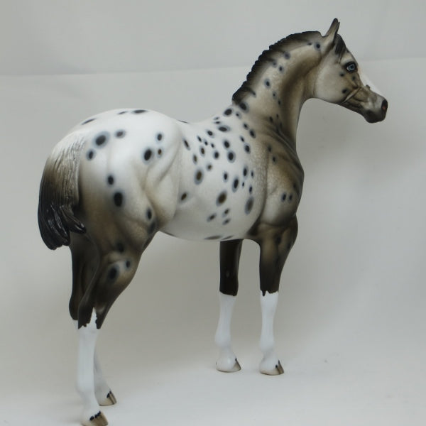 GOT SPOTS - Ratty Mane Appaloosa with Variation of Face Marking LE10 2/15