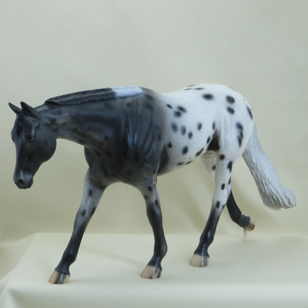 SHRIGLEY - OOAK Appaloosa Western Pleasure Horse - 3/15