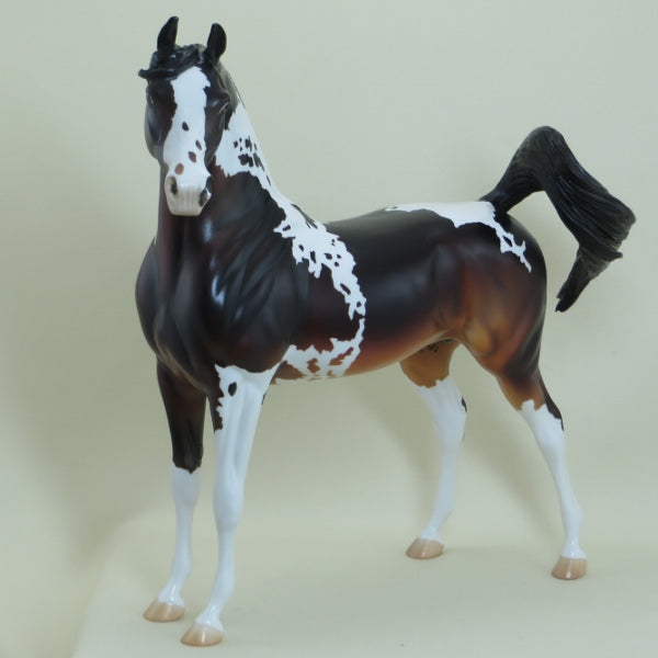 MAVERICK - OOAK Seal Bay Pinto Arabian Horse - 4/15