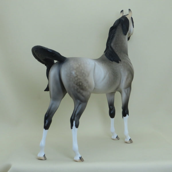 OPTIVA - OOAK Dapple Silver Buckskin Arabian 4/15