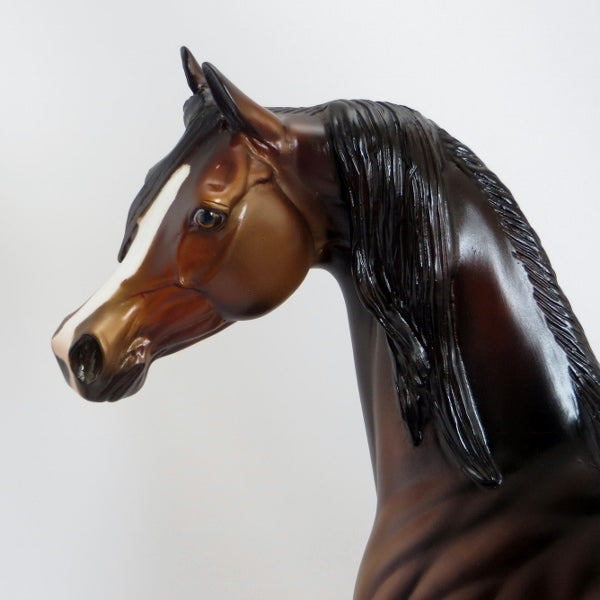 THE PERFECT FAN - OOAK Dapple Bay Arabian w/ Lots of Mane 5/15