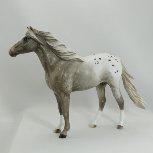 PIERCE ARROW - OOAK Roan Appaloosa Mustang by Sheryl Leisure - 5/15