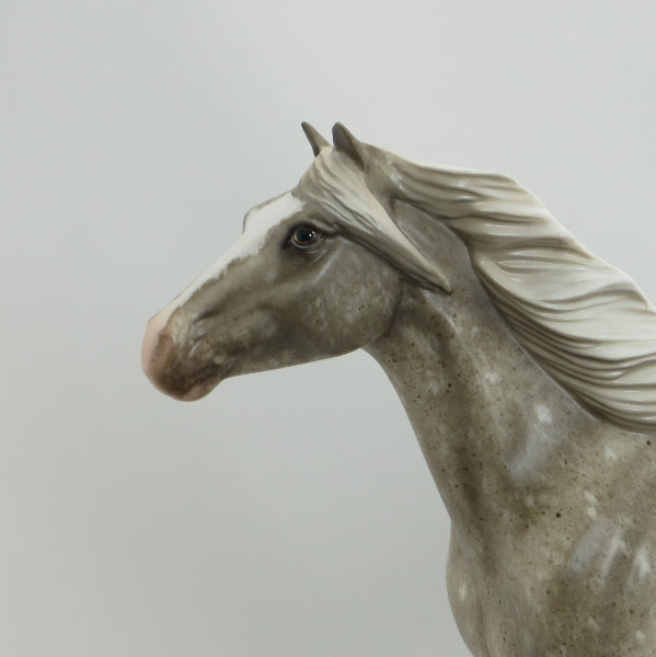 PIERCE ARROW - OOAK Roan Appaloosa Mustang by Sheryl Leisure - 5/15