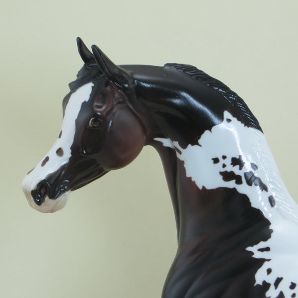 MAVERICK - OOAK Seal Bay Pinto Arabian Horse - 4/15
