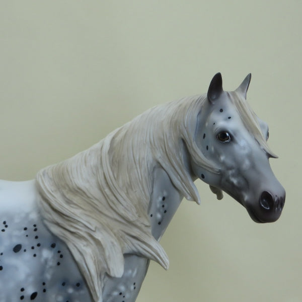 METEOR SHOWER - OOAK Appaloosa Stock Horse 3/15