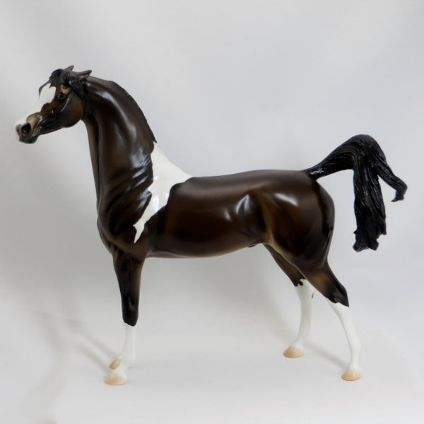 MAMA CAN YOU HEAR ME - OOAK Seal Bay Pinto Pinned Ear Arabian - 5/15