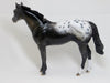 BOOGALOO AND GRAHAM - OOAK Appaloosa Stock Horse Gelding 2/15