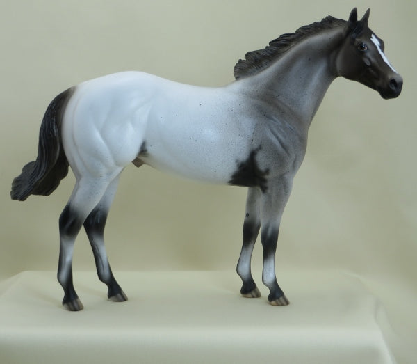 DOOISH - OOAK Appaloosa Stock Horse 3/15