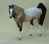 I HAD A ROOSTER - OOAK Appaloosa Pebbles 3/15