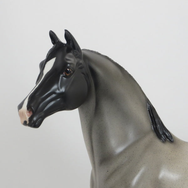 NOT THAT FAR AWAY - OOAK Blue Roan Morgan Model Horse - 5/15