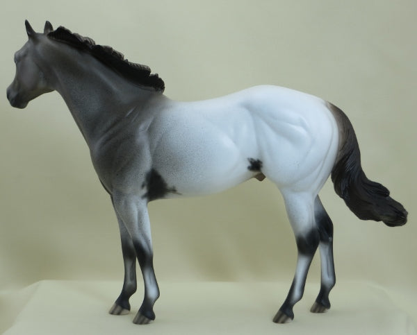DOOISH - OOAK Appaloosa Stock Horse 3/15