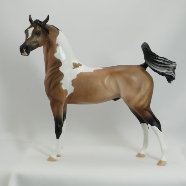 JEKYLL - OOAK Dapple Sooty Buckskin Tobiano Arabian by D'Arry Jone Frank - 5/15