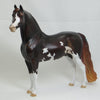 CF (COFFEE FREAK) - OOAK Dapple Dark Liver Chestnut Pinto Morgan 2/150