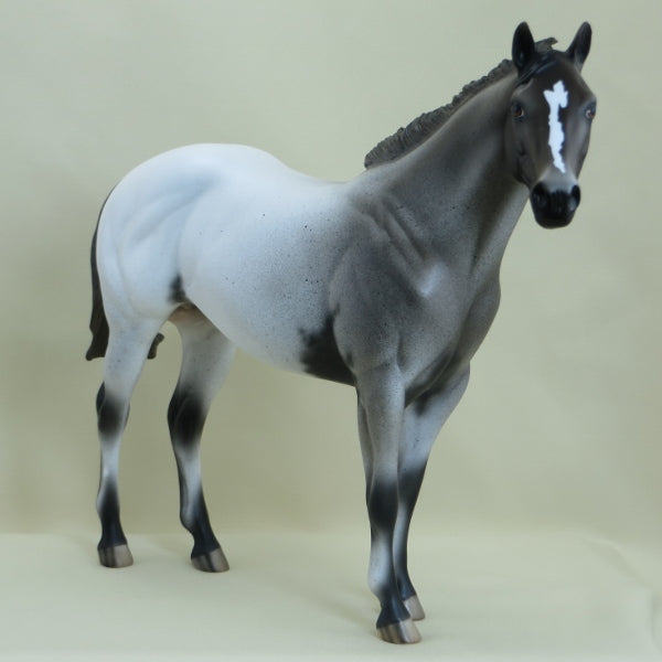 DOOISH - OOAK Appaloosa Stock Horse 3/15