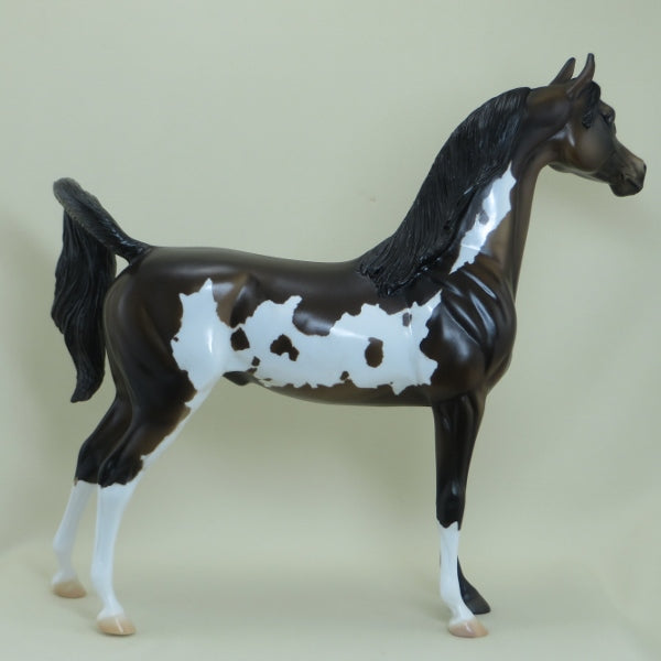 LARK - OOAK Bay Dun Pinto Arabian Model Horse - 4/15