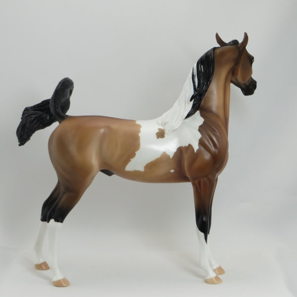 JEKYLL - OOAK Dapple Sooty Buckskin Tobiano Arabian by D&#39;Arry Jone Frank - 5/15