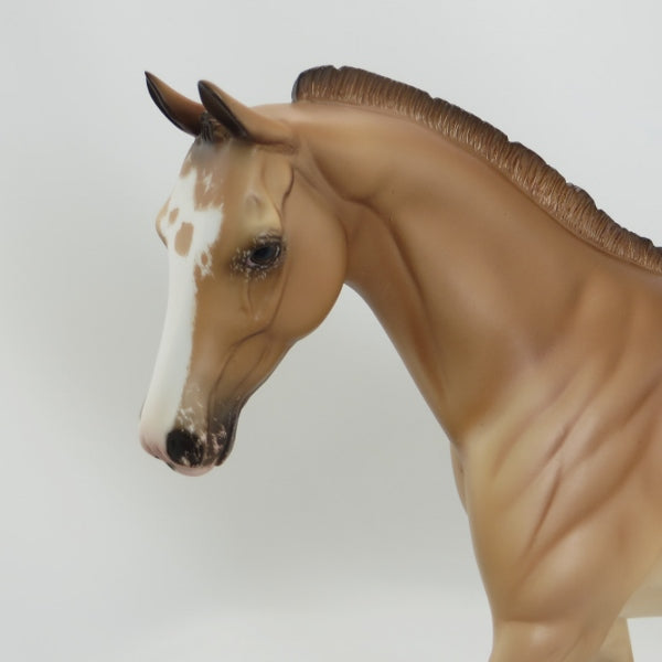 CHAMP - OOAK Claybank Dun Appaloosa Blanket Pony by Sheryl Leisure - 5/15