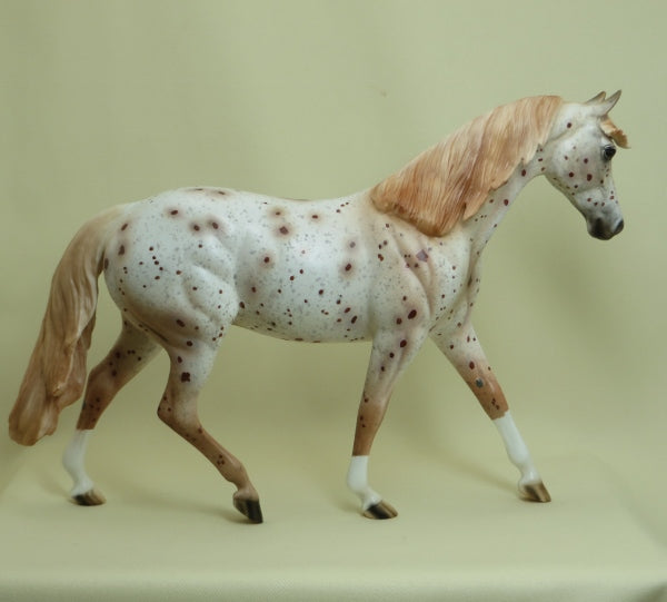 BATTLESTAR GALACTICA - OOAK Chestnut Appaloosa Pony 4/15