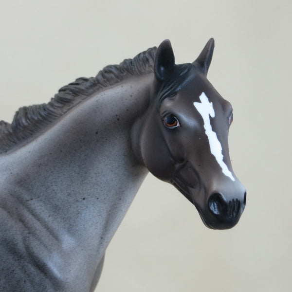 DOOISH - OOAK Appaloosa Stock Horse 3/15