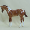 KING MAKER - OOAK Red Dun Weanling Model Horse - 4/15