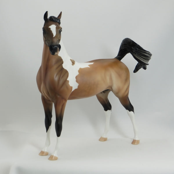 JEKYLL - OOAK Dapple Sooty Buckskin Tobiano Arabian by D&#39;Arry Jone Frank - 5/15