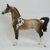 PIERCE - OOAK Dapple Buckskin Pinto Arabian 2/15