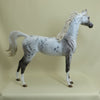 FROSTED FLAKES - OOAK Leopard Appaloosa Arabian 4/15