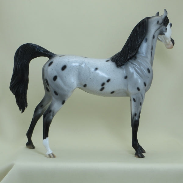 DYNO BITES - OOAK Appaloosa Arabian 4/15