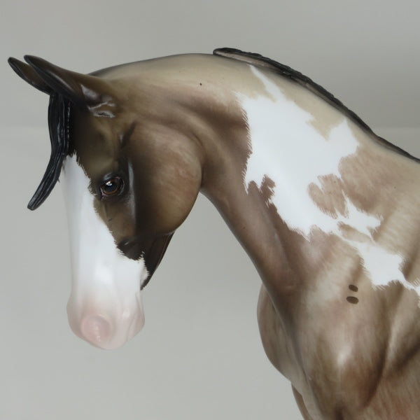 SEND HER MY LOVE - OOAK Bay Roan Pinto Thoroughbred by Sheryl Leisure 3/15