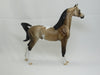 PIERCE - OOAK Dapple Buckskin Pinto Arabian 2/15