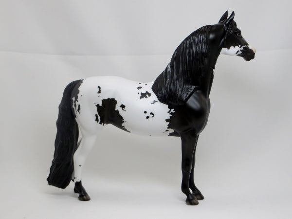 CHROME - OOAK Black & White Pinto Morgan Mare - 2/15