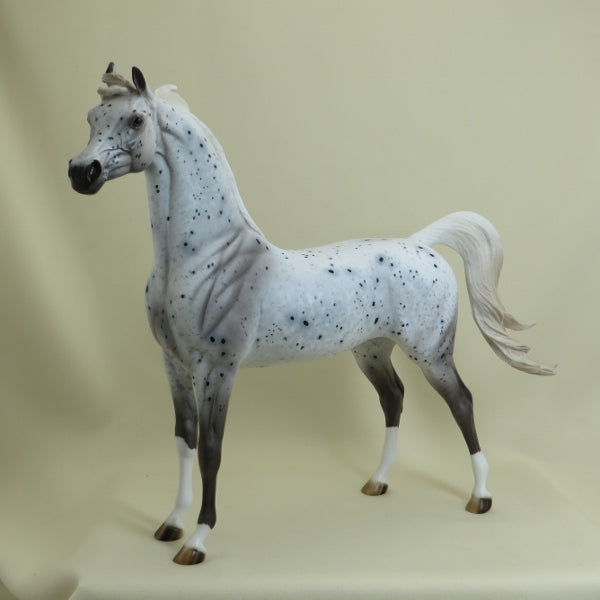 FROSTED FLAKES - OOAK Leopard Appaloosa Arabian 4/15