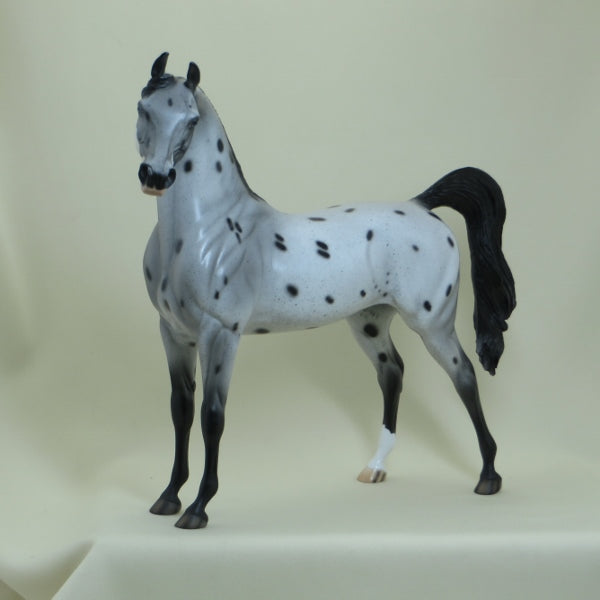 DYNO BITES - OOAK Appaloosa Arabian 4/15