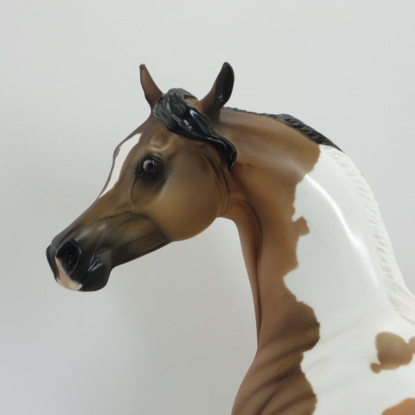 JEKYLL - OOAK Dapple Sooty Buckskin Tobiano Arabian by D&#39;Arry Jone Frank - 5/15